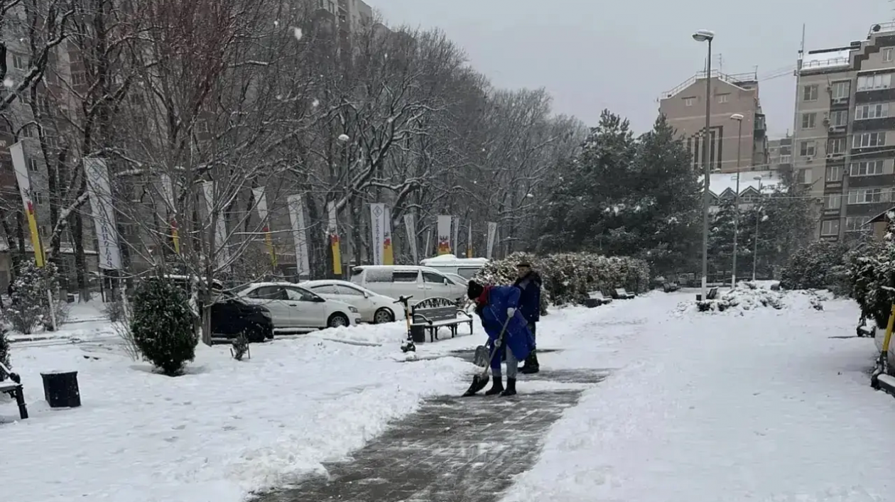  Администрация Краснодара