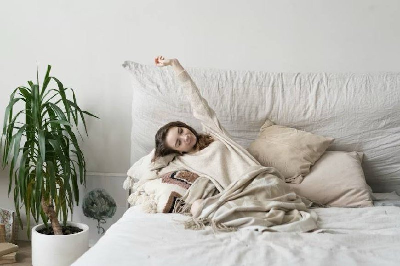 Тематическое фото unsplash.com