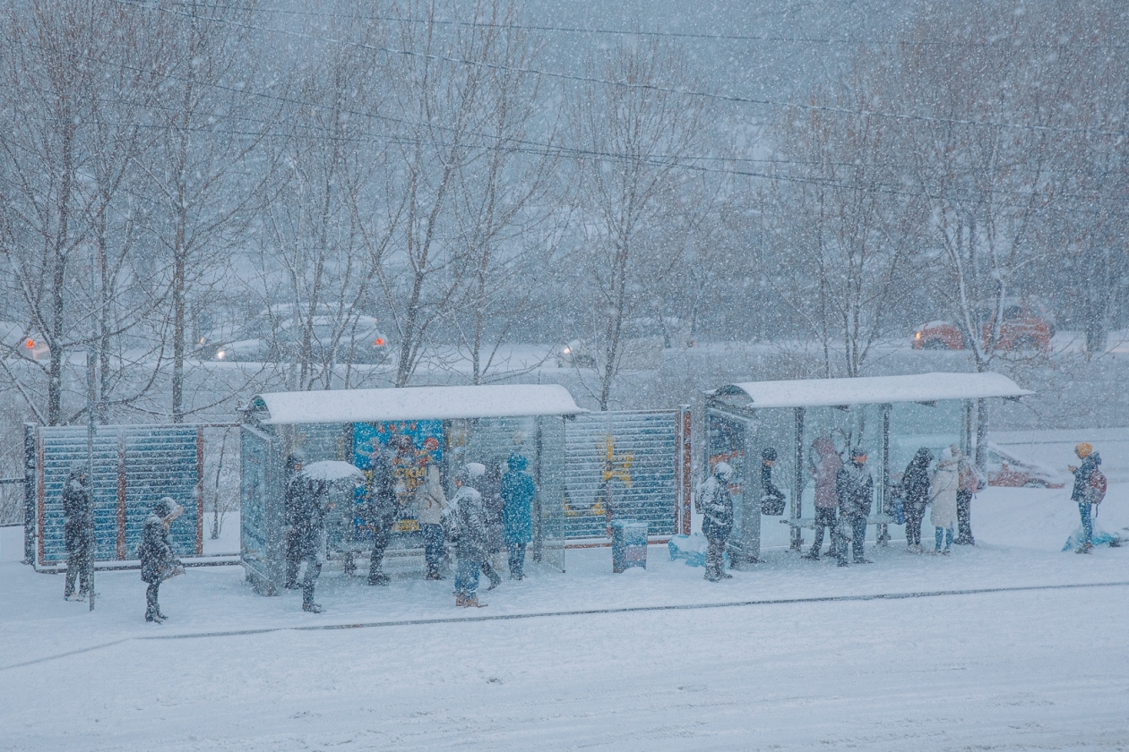 Тематическое фото ИА PrimaMedia