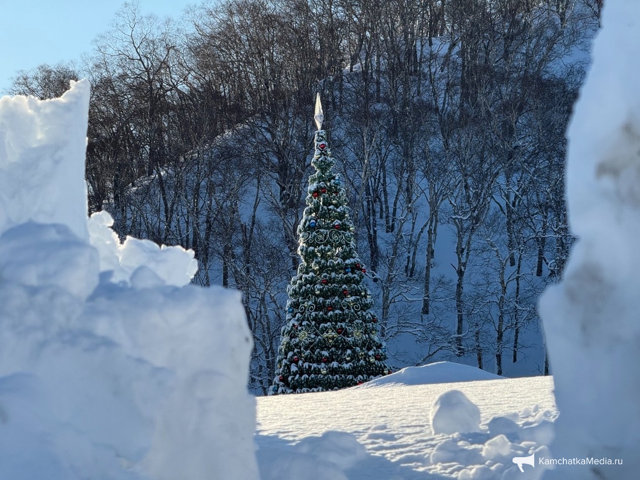 Ольга Семёнова, ИА KamchatkaMedia