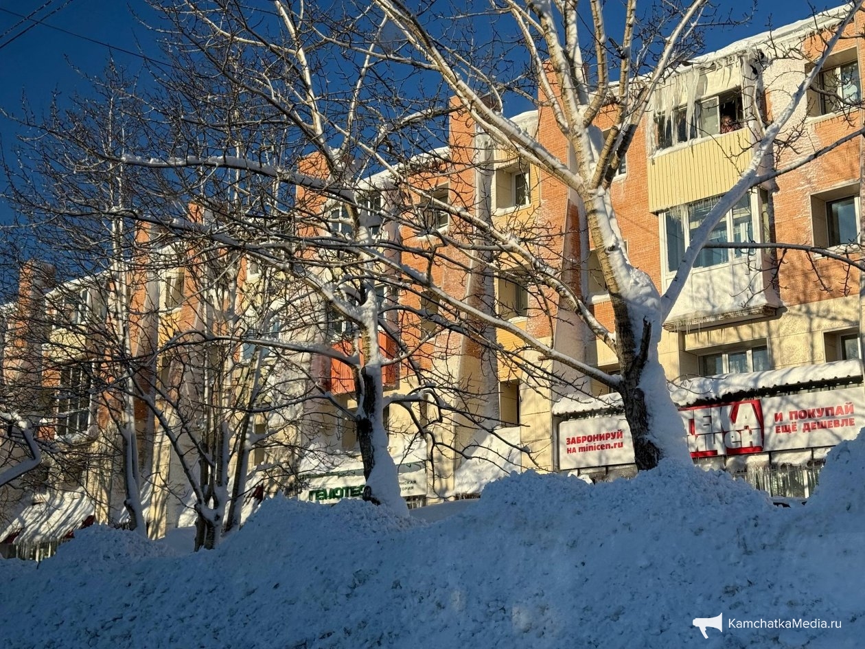 Ольга Семёнова, ИА KamchatkaMedia