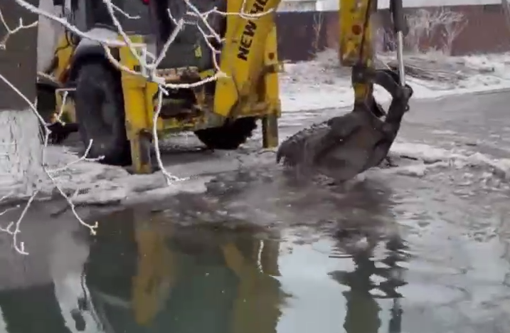 Место ЧП Соцсети Н. Новопашина