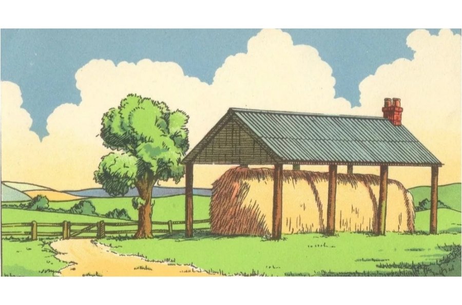 Тематическое фото Bright side