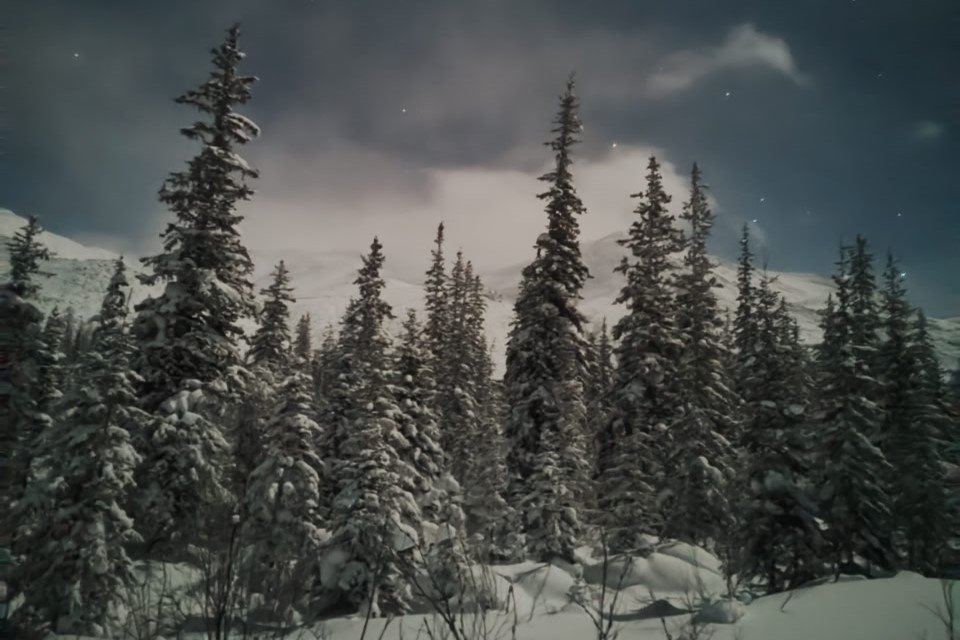 Итоги фотоконкурса &quotБерегите лесную красавицу&quot подвели в Иркутской области Пресс-служба правительства Иркутской области