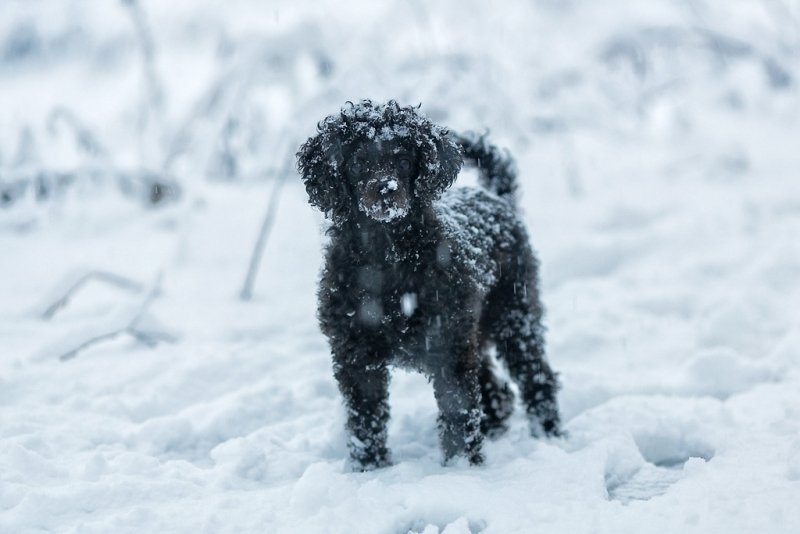 тематическое фото ИА ЕАОMedia