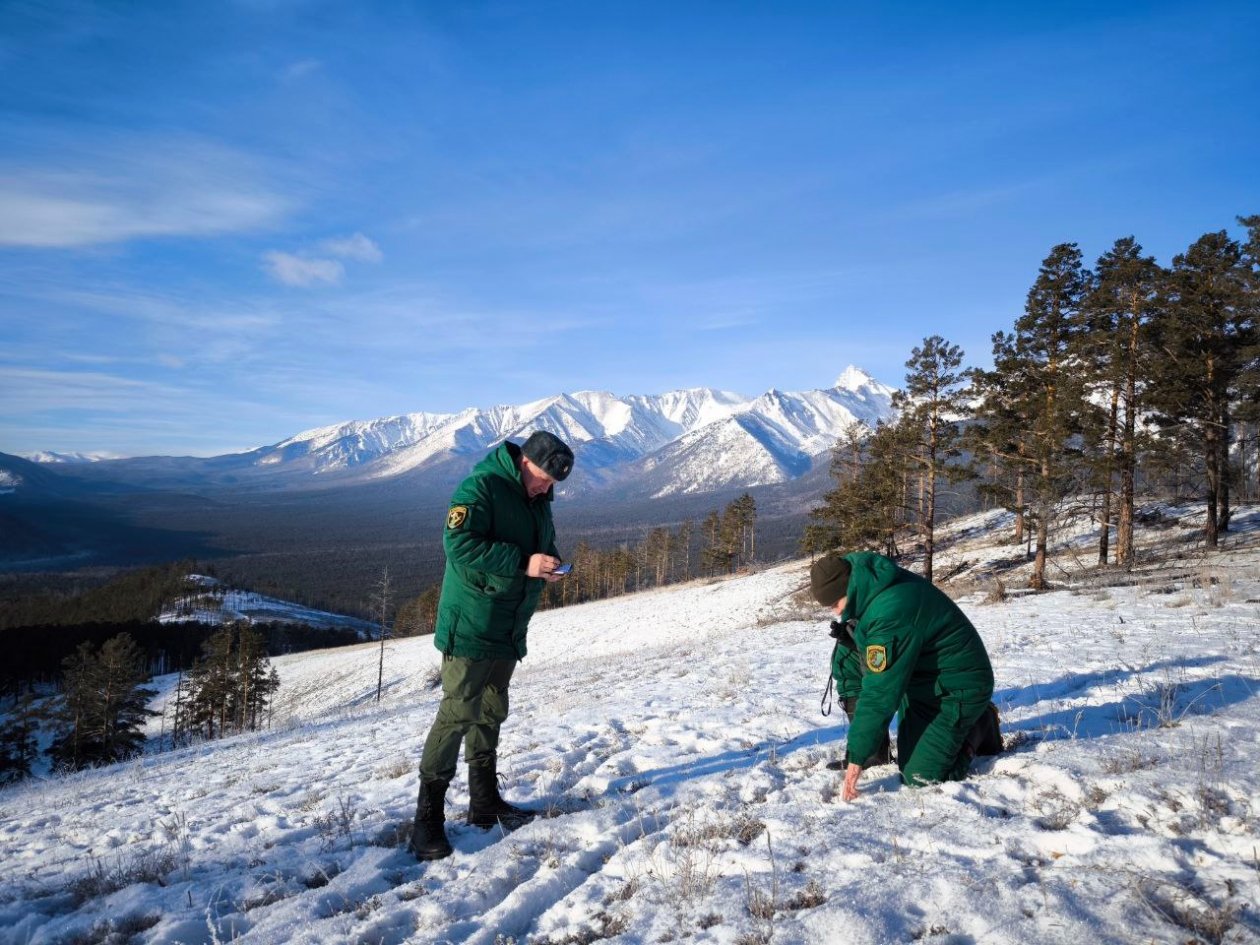 Инспекторы не только ведут учет, но и подкармливают зверей Бурприрода