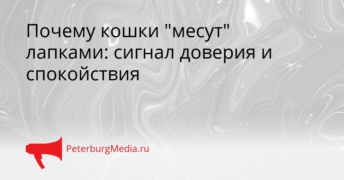 Почему кошки &quotмесут&quot лапками: сигнал доверия и спокойствия Сгенерировано