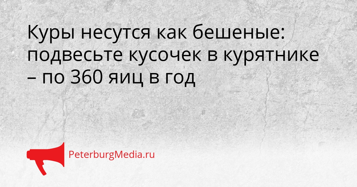 Куры несутся как бешеные: подвесьте кусочек в курятнике – по 360 яиц в год Сгенерировано