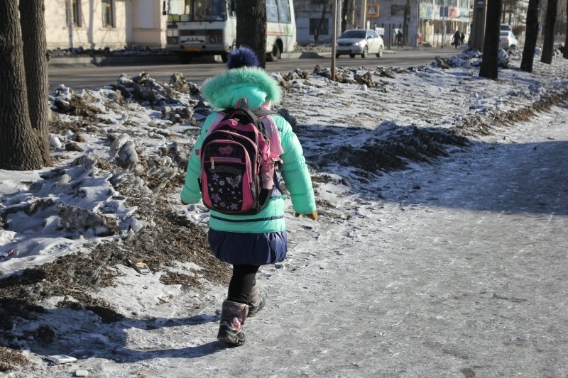 СКР расследует на Кубани инцидент с высадкой ученика вдали от остановки в мороз Александр Музыка