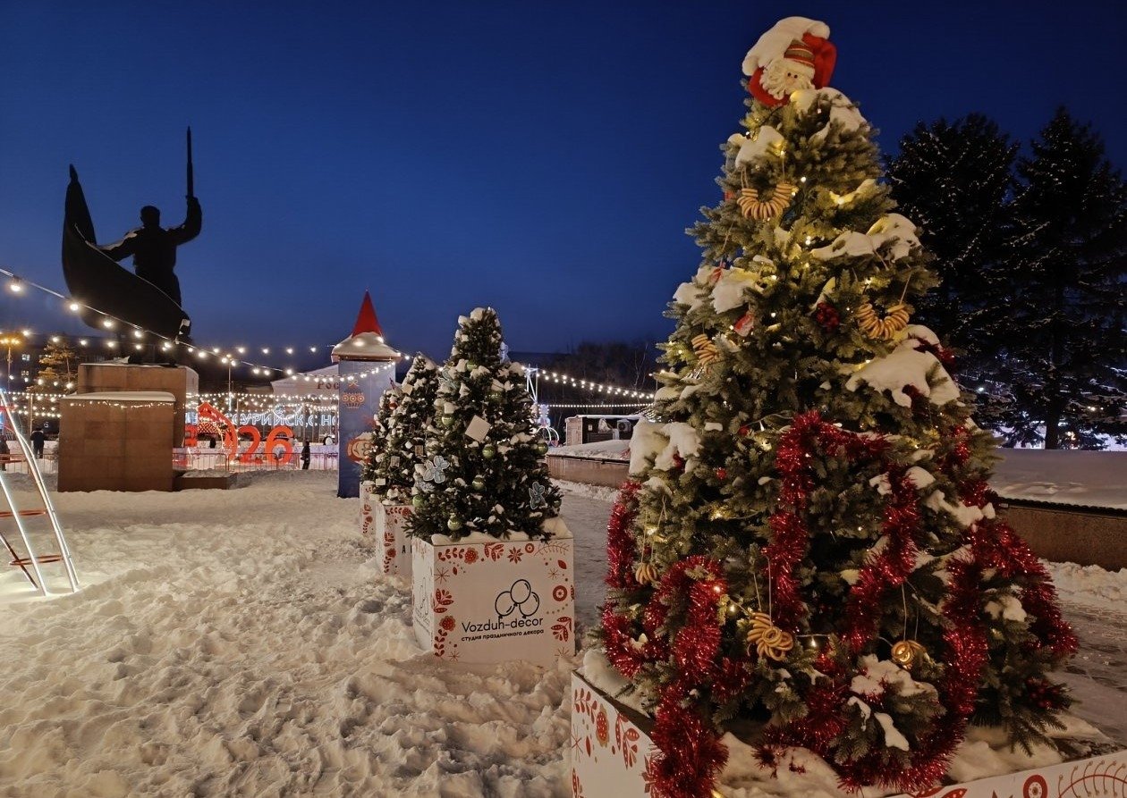 Вандалы обкусали декор новогодней елки в Уссурийске Евгения Микушина, ИА UssurMedia