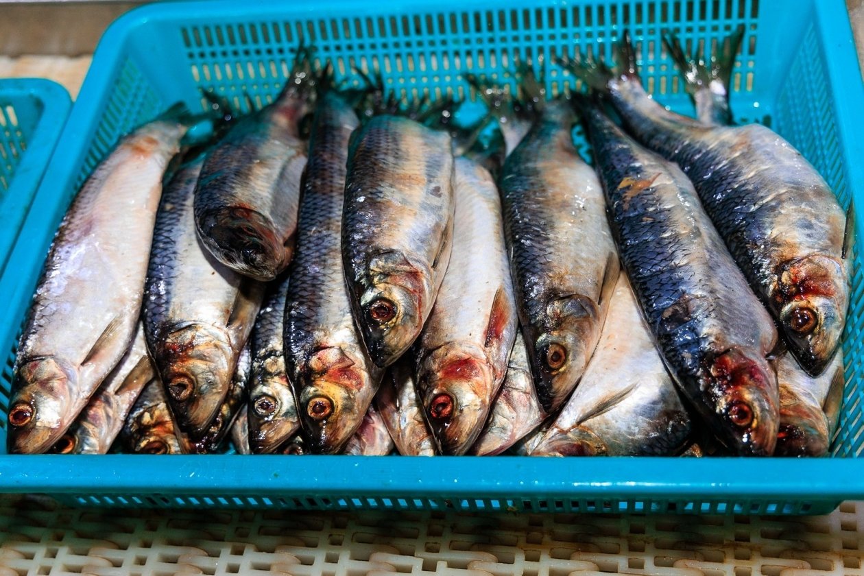 Тематическое фото ИА PrimaMedia