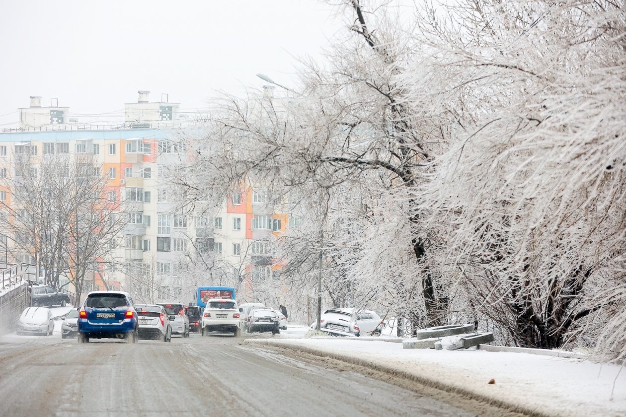 Тематическое фото ИА PrimaMedia