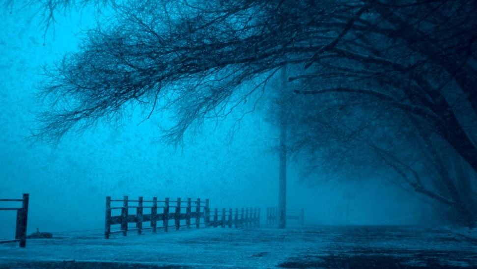 Тематическое фото pxhere.com