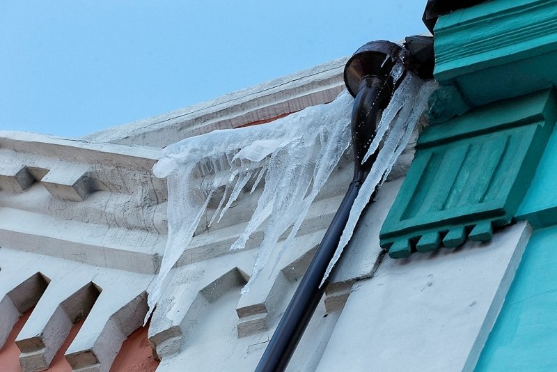 Мария Бородина