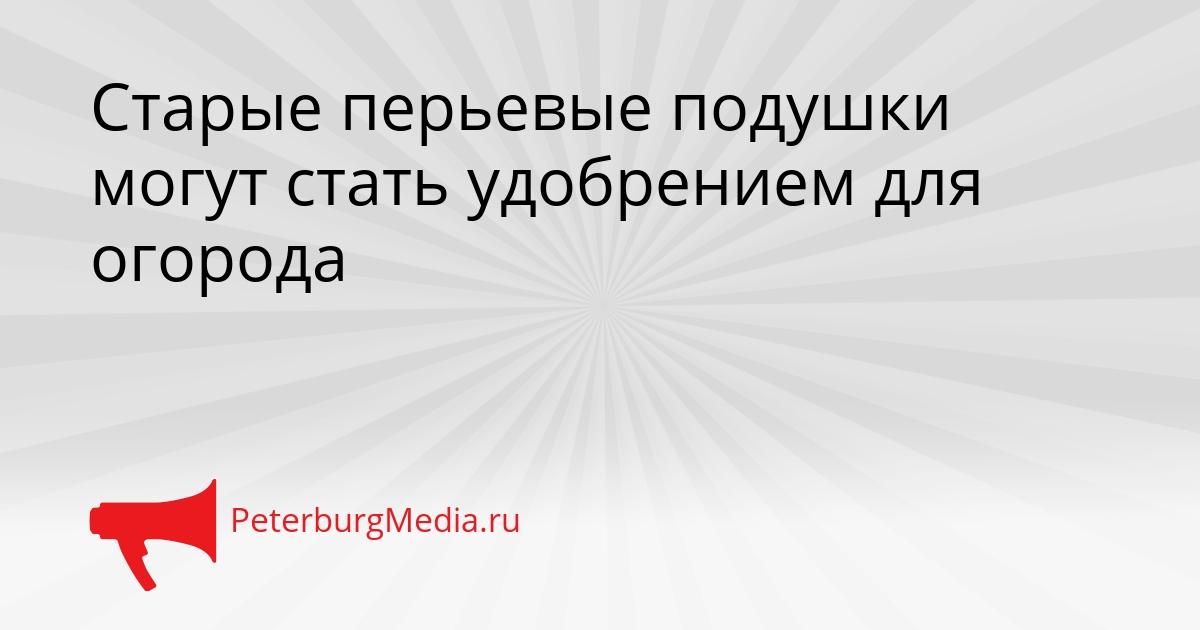 Старые перьевые подушки могут стать удобрением для огорода Сгенерировано