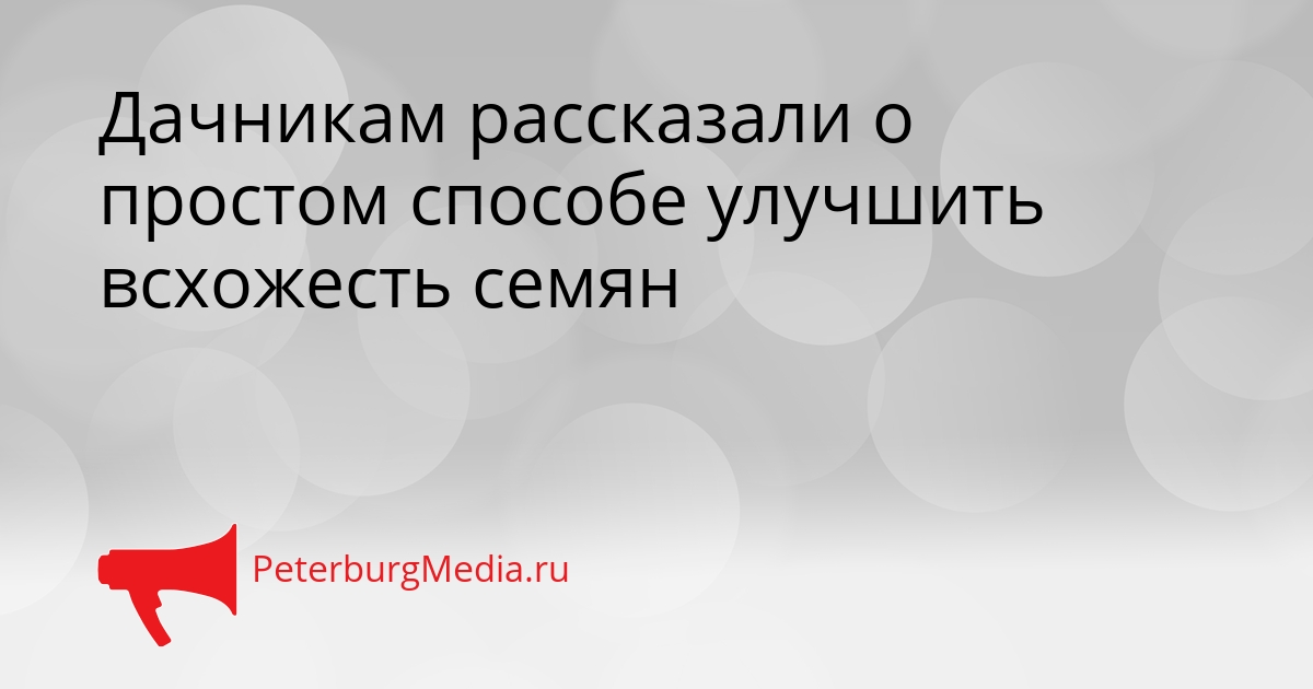 Дачникам рассказали о простом способе улучшить всхожесть семян Сгенерировано