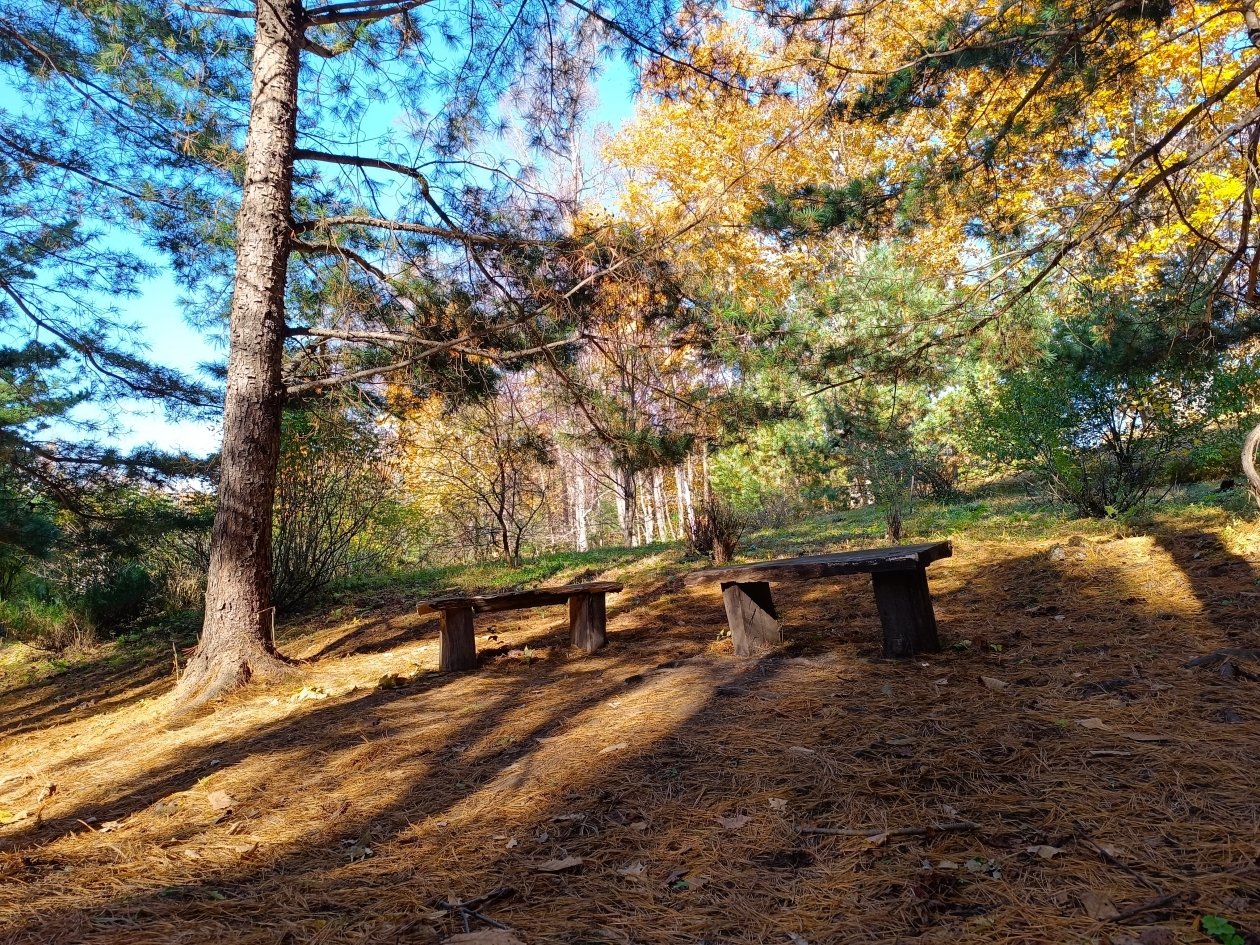 Тематическое фото Евгения Микушина, ИА UssurMedia