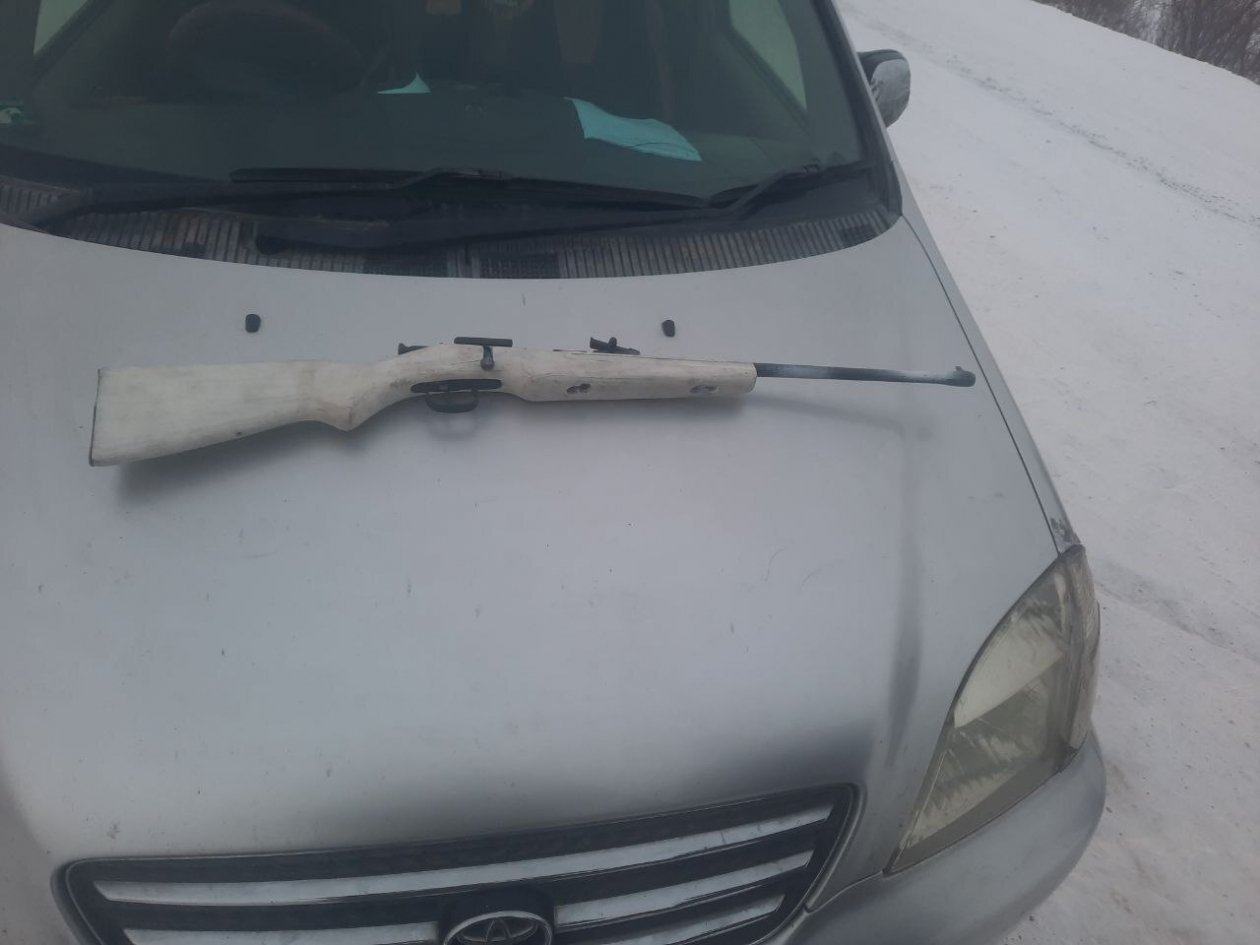 Решается вопрос о возбуждении уголовного дела управление по охране животного мира Амурской области