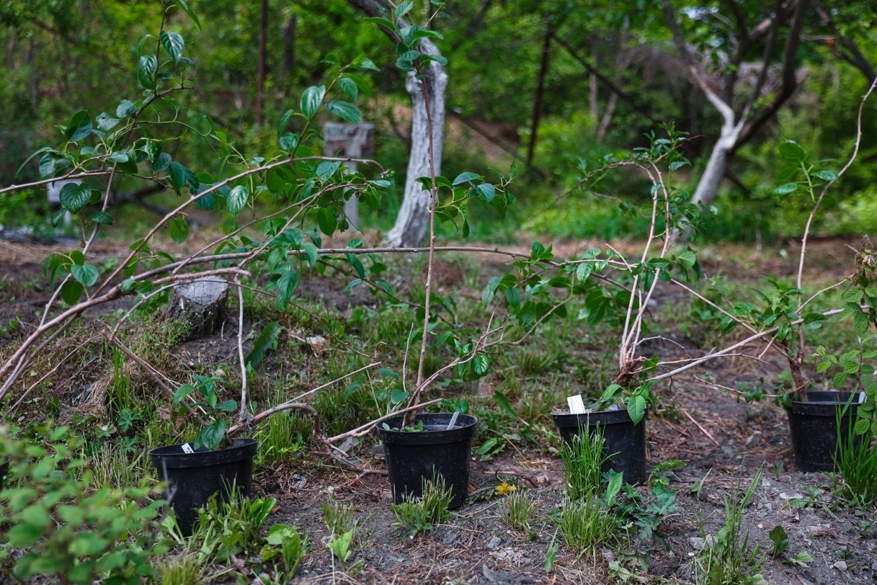 Тематическое фото ИА PrimaMedia