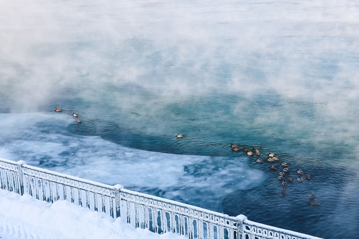 Мороз, Ангара и утки Юлия Ушакова, ИА IrkutskMedia