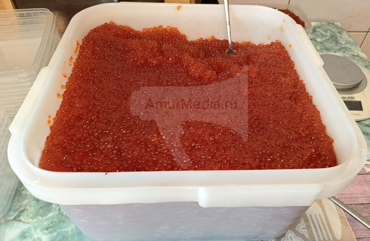 Тематическое фото ИА  AmurMedia