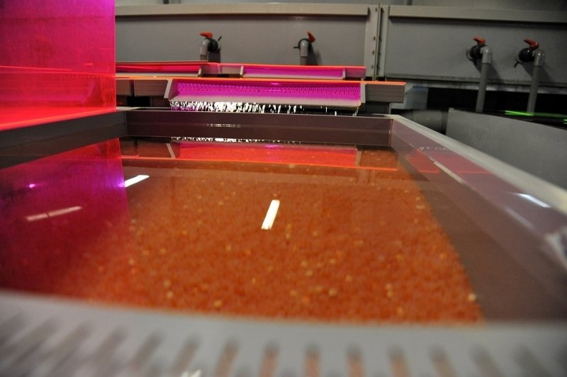 Тематическое фото Юрий Гуршал, ИА SakhalinMediа