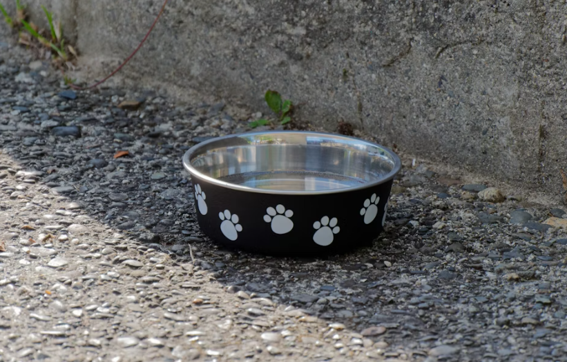 Тематическое фото Unsplash.com (18+)