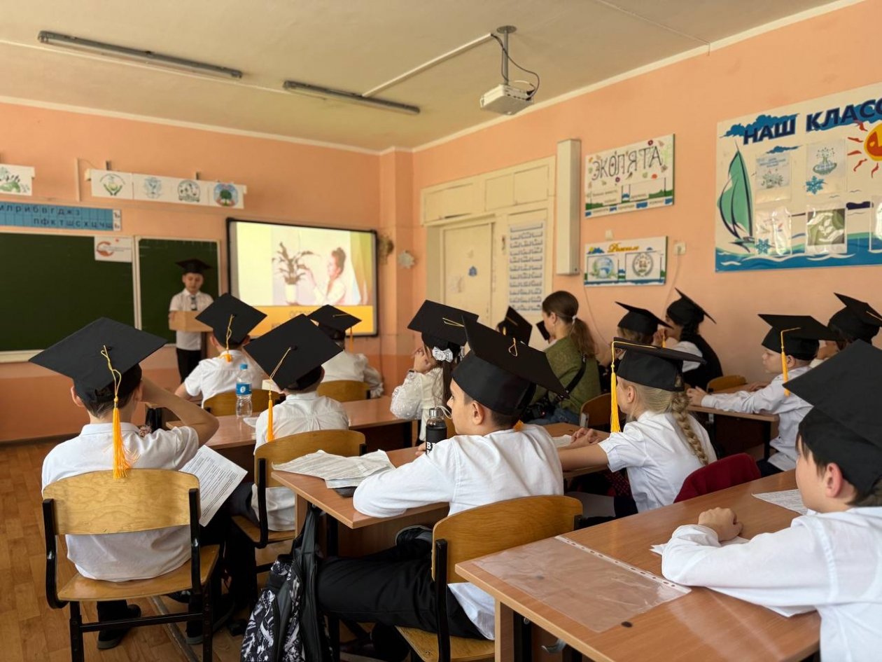 Первую научную экоконференцию провели школьники Находки и НЗМУ Пресс-служба НЗМУ