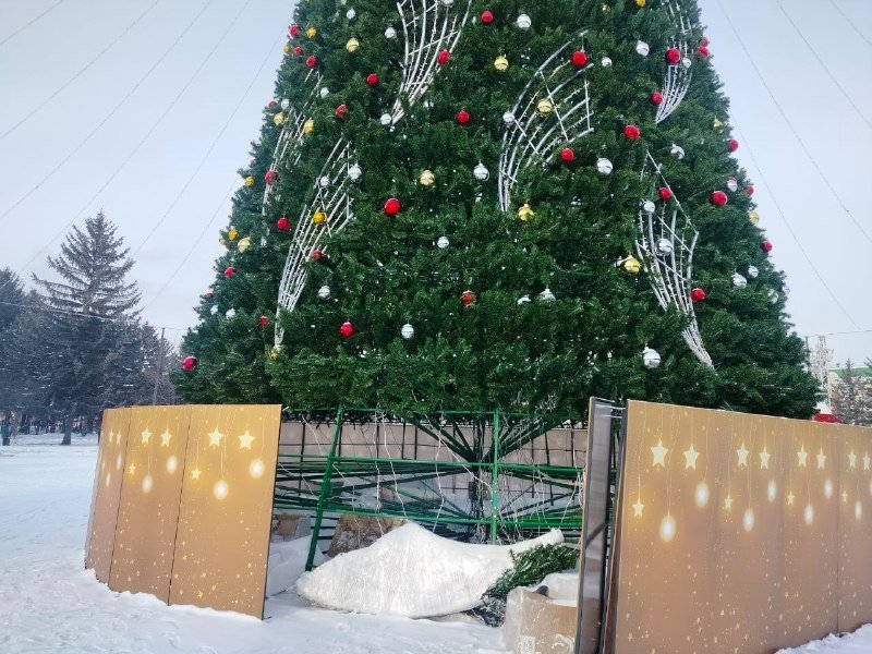 Вандалы повредили новогоднее оформление на главной городской ёлке в Биробиджане мэрия Биробиджана