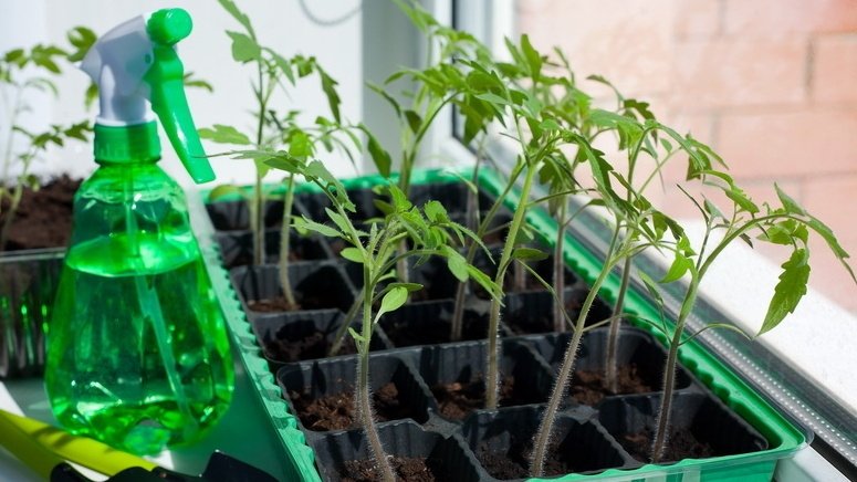 Тематическое фото Автор канала