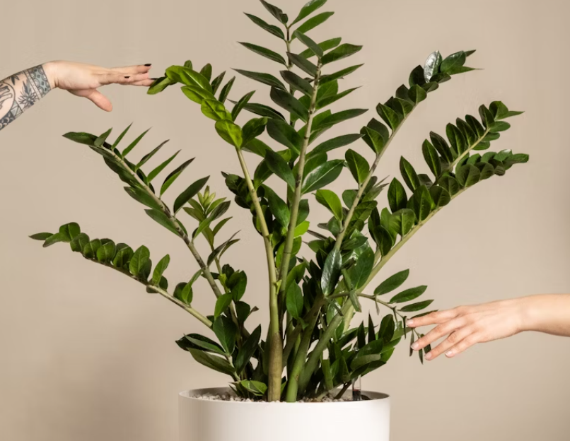 Тематическое фото unsplash.com (18+)