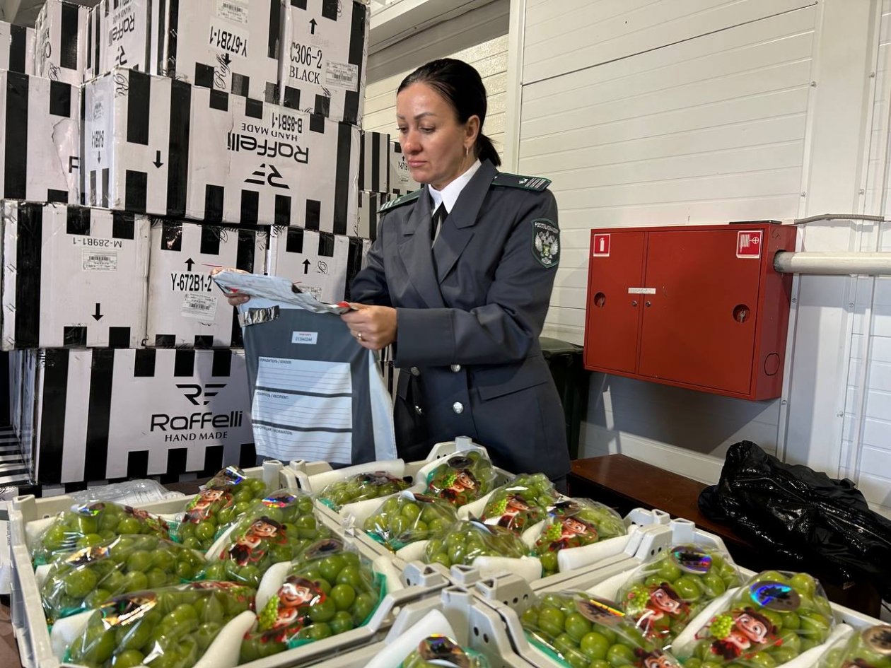 . пресс-служба управления Россельхознадзора по Красноярскому краю