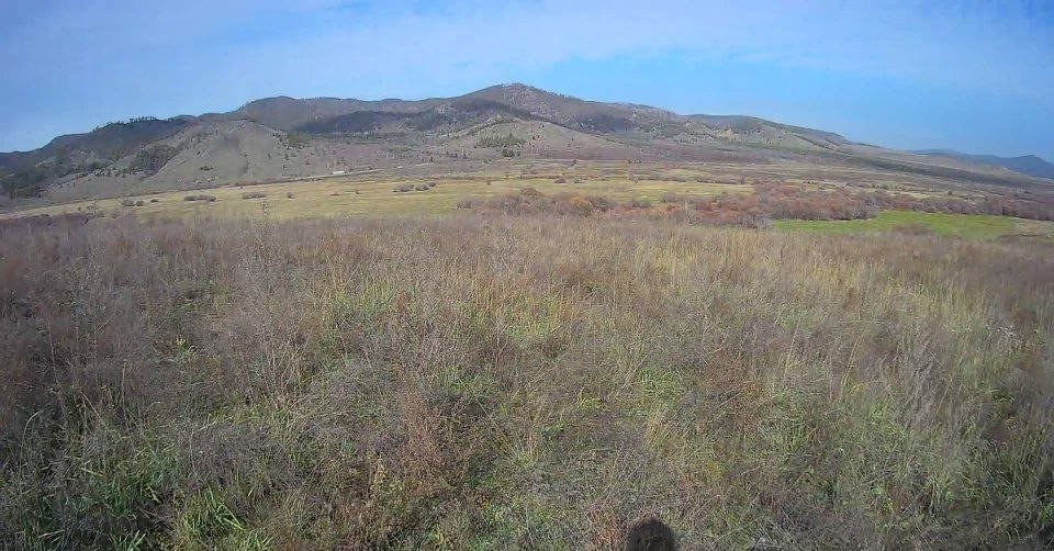 Заброшенные субсидированные земли в Бурятии привели к штрафу Россельхознадзор