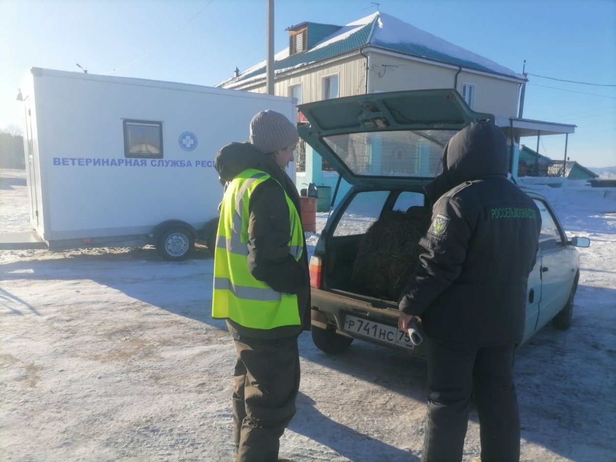 В Бурятии задержали более 7 тонн мяса из Забайкалья без документов Россельхознадзор
