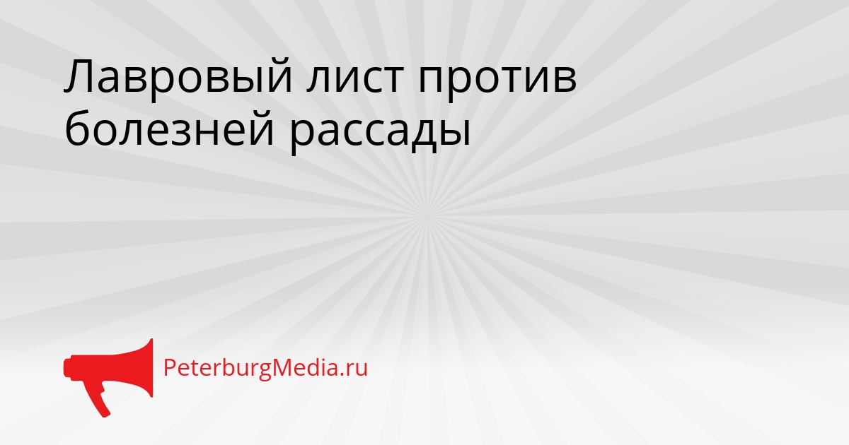 Лавровый лист против болезней рассады Сгенерировано