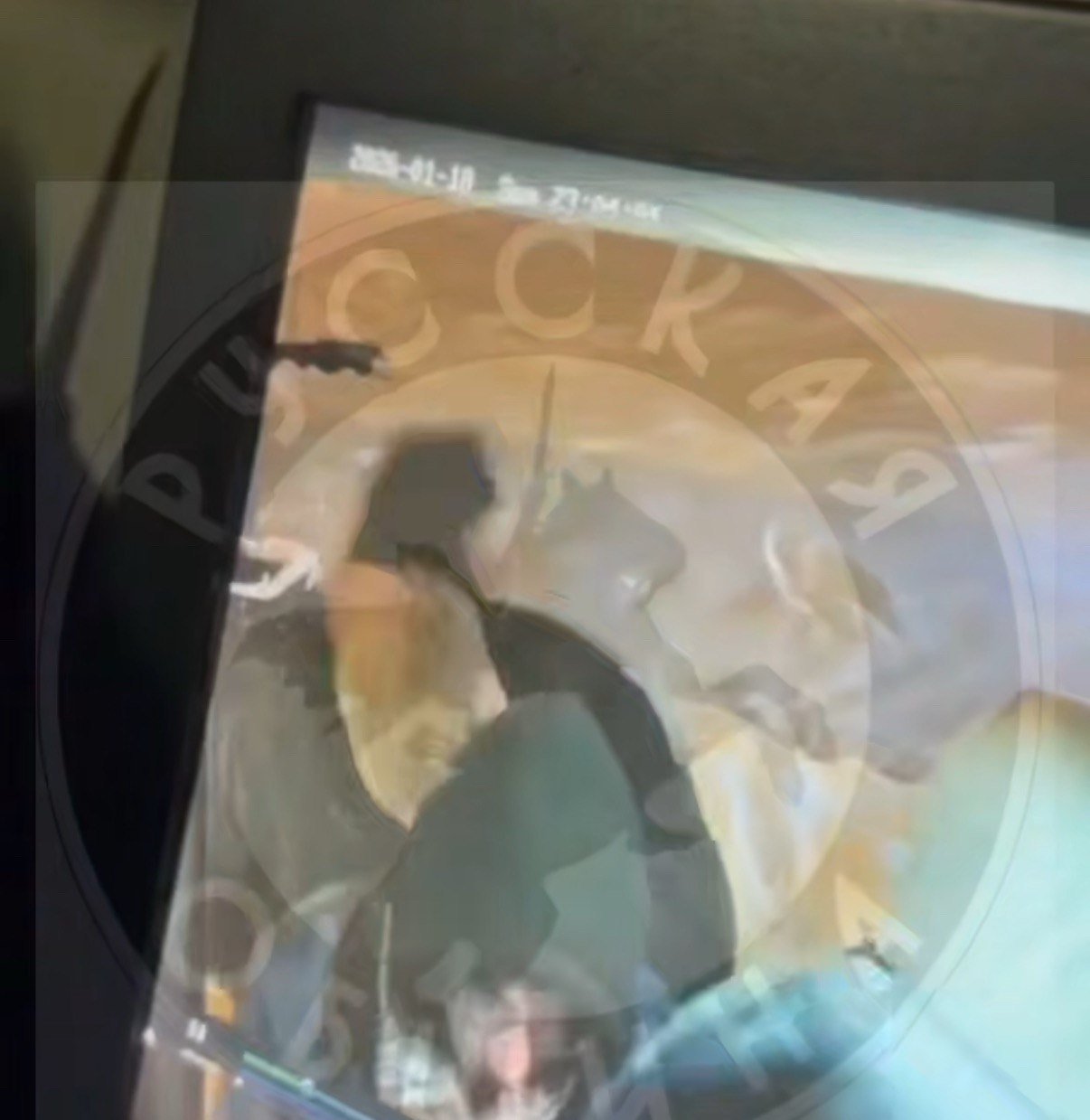 Появилось видео убийства молодого парня в автобусе в Подмосковье скрин из видео