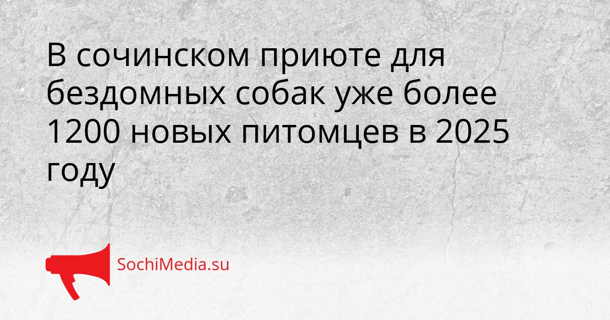 В сочинском приюте для бездомных собак уже более 1200 новых питомцев в 2025 году Сгенерировано