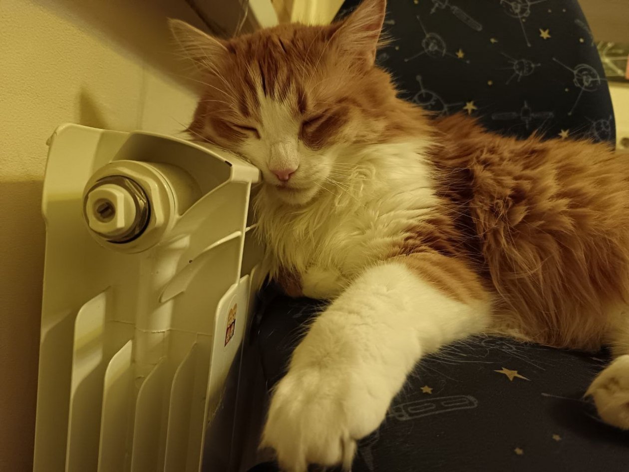 Батарея будет греть на 30% жарче, без лишних расходов: простой способ повысить теплоотдачу ИА SevastopolMedia.ru