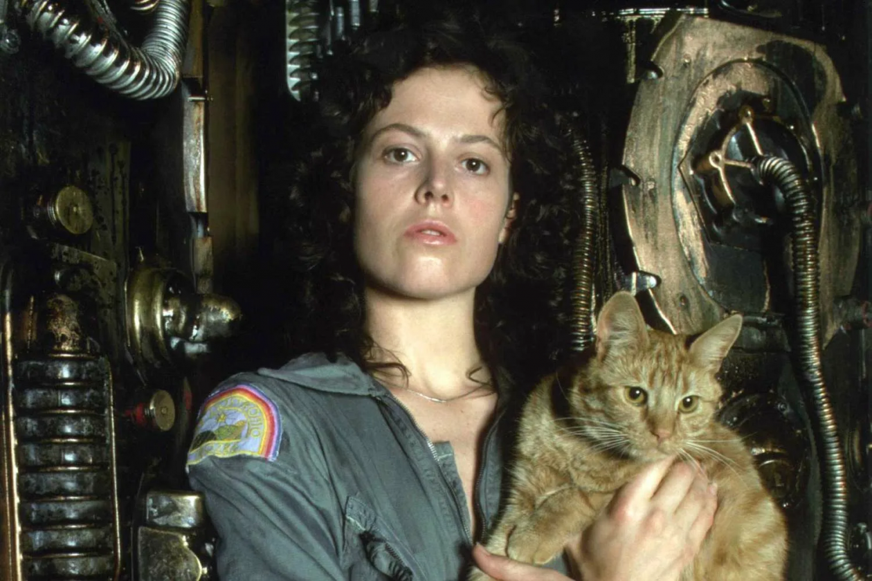 Промо-фильма