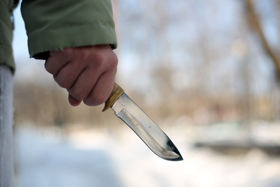 Тематическое фото ИА PrimaMedia