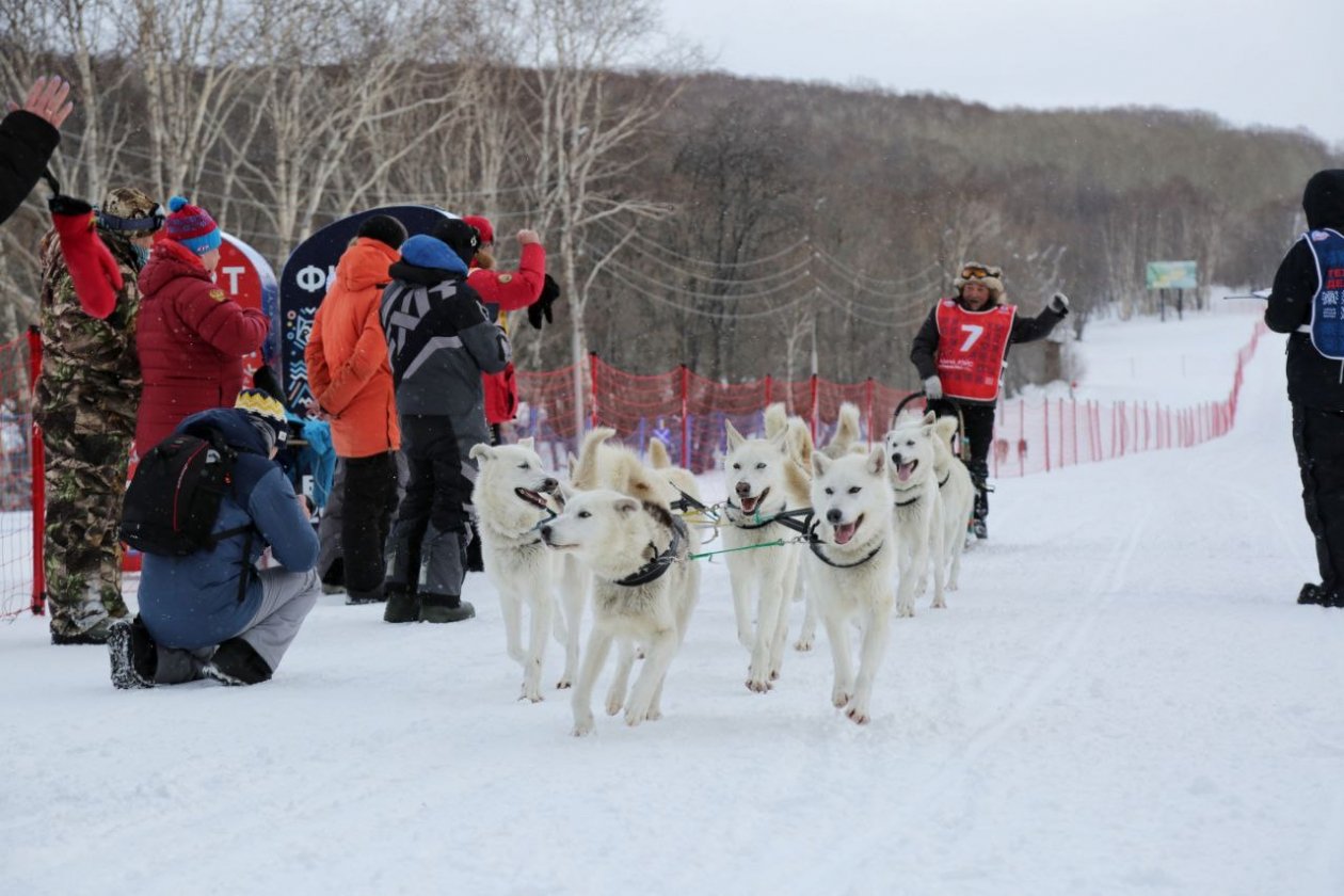 Берингия. Архивное фото Елена Поддубная, ИА KamchatkaMedia