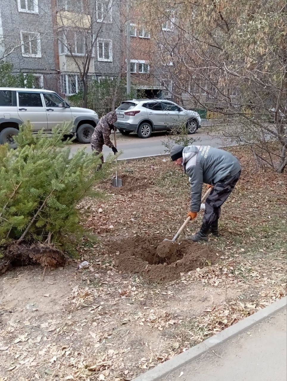 В 2026 году обновят зелёные зоны по программе &quotЗеленый город&quot мэрия Улан-Удэ