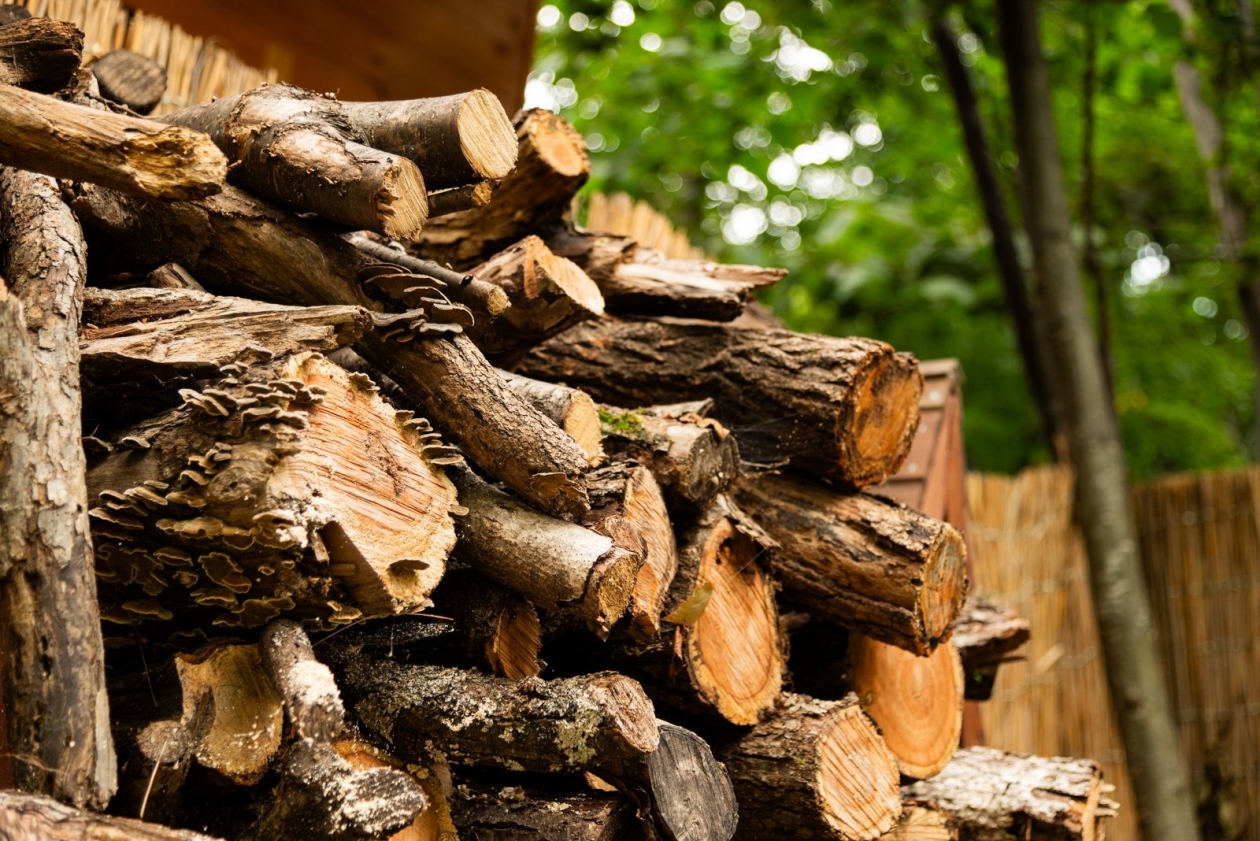 Экспортёр из Приангарья оштрафован за задержку валютной выручки в 19 млн рублей Евдокия Сорокина, ИА AmurMedia