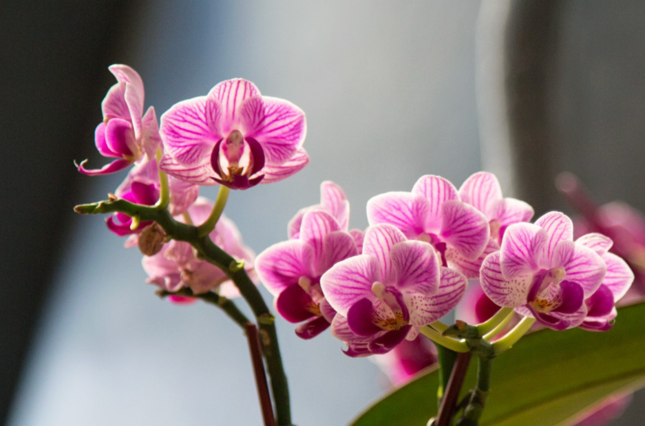 Тематическое фото pxhere.com