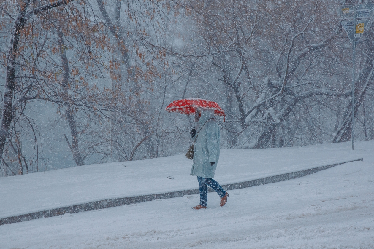 Тематическая фото Мария Смитюк, ИА PrimaMedia.ru