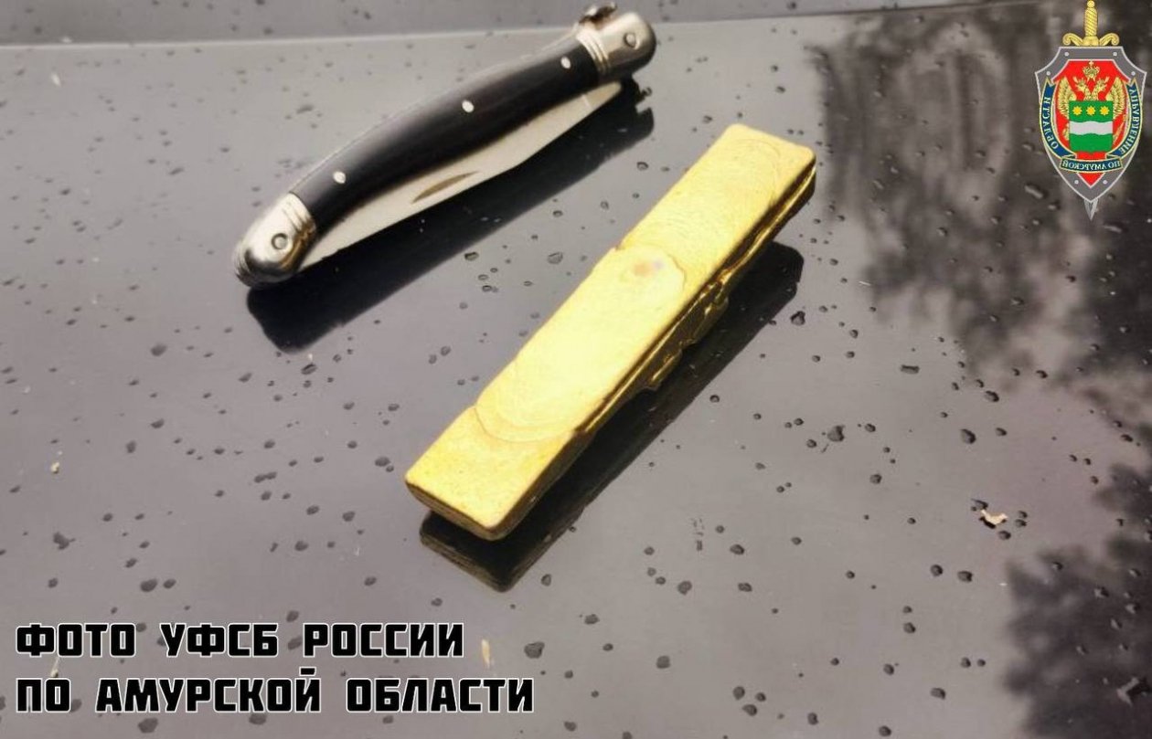 Вес чистого золота в слитке превысил 400 граммов УФСБ России по Амурской области