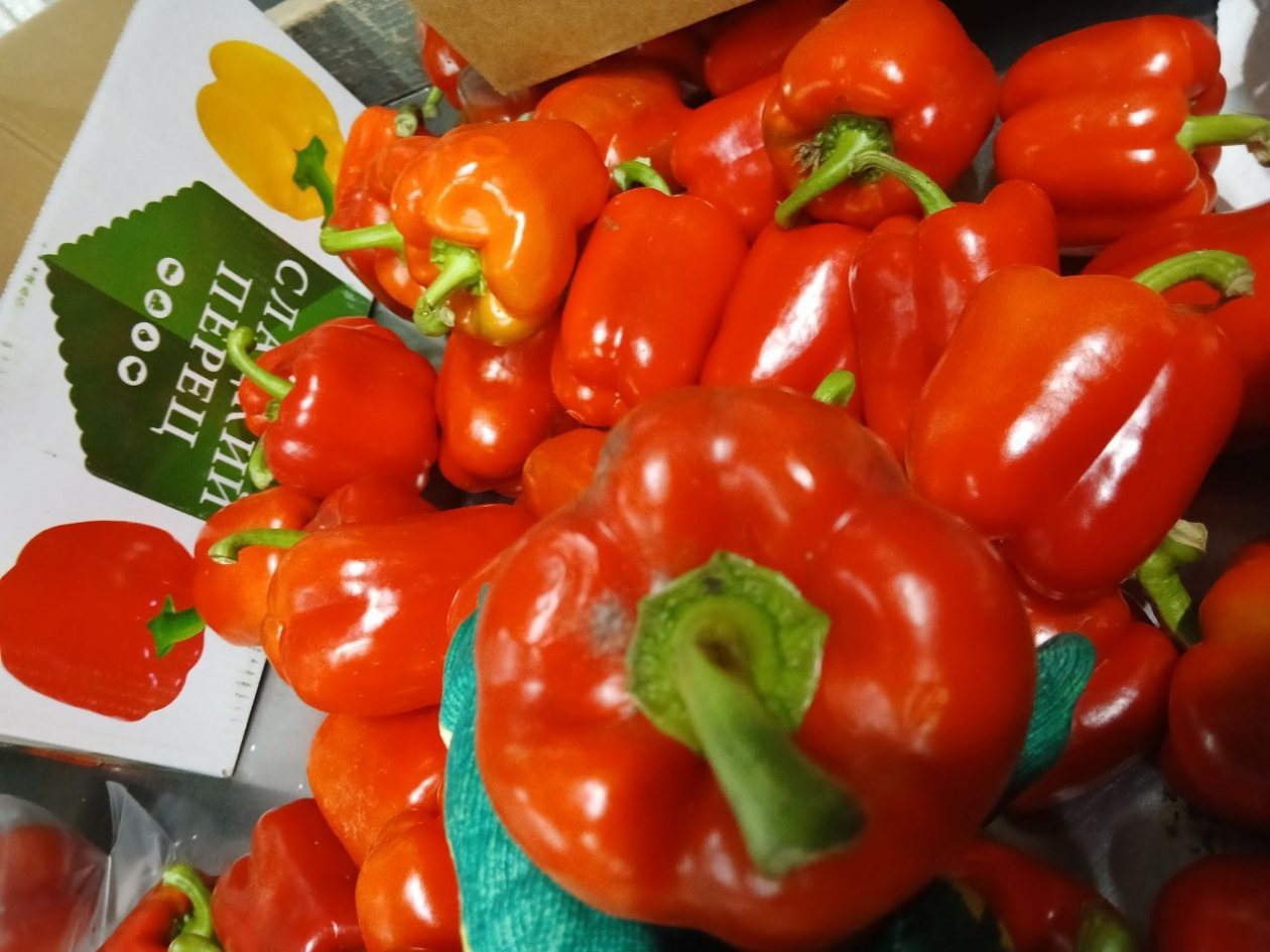 Заражённые овощи телеграм-канал (18+) Россельхознадзора края