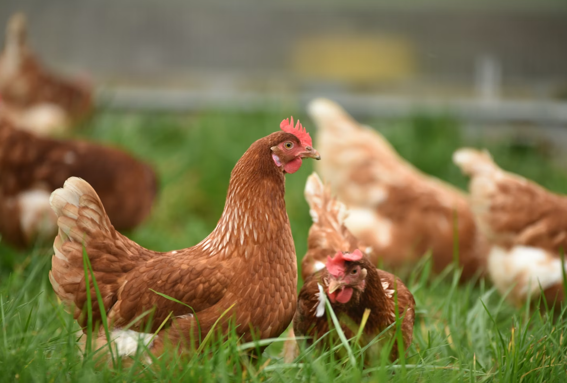 Тематическое фото unsplash.com (18+)