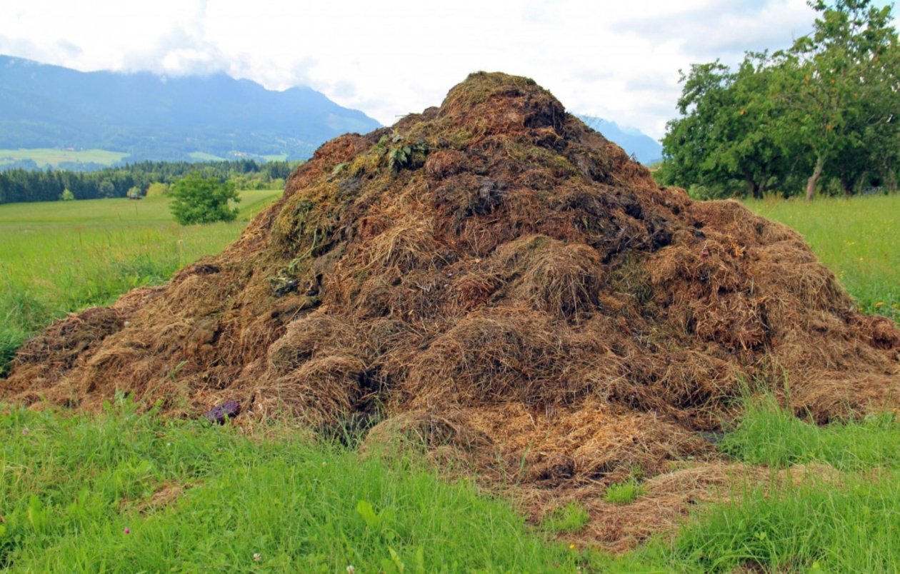 Тематическое фото pxhere.com