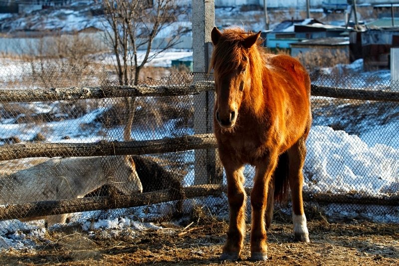 Тематическое фото Александр Хитров, ИА PrimaMedia